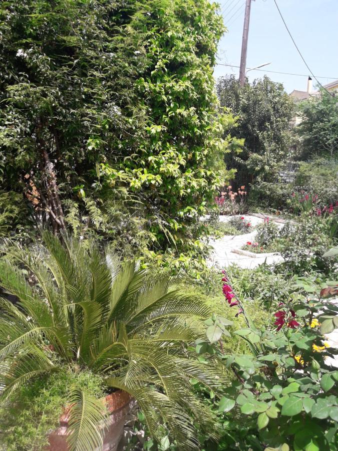 Garden House In Corfu Villa Corfu  Екстериор снимка